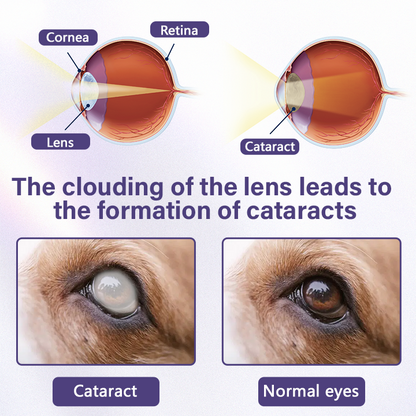 Timilk® NanoCare Pet Eye Drops  👩‍⚕️ FDA Approved | Relieves Conjunctivitis, Dry Eyes, Cataracts & Keratitis 🐶🐱